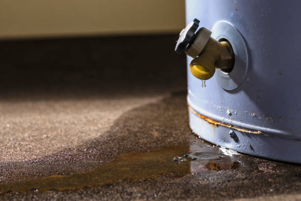 Best Water damage restoration experts  in Spencerville, MD