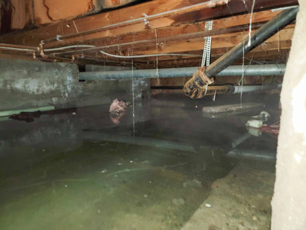 Best Carpet water damage restoration  in Spencerville, MD