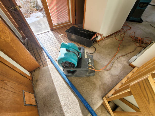 Water damage restoration insurance claims in MD