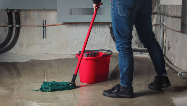 Best Fire Damage Restoration  in Spencerville, MD