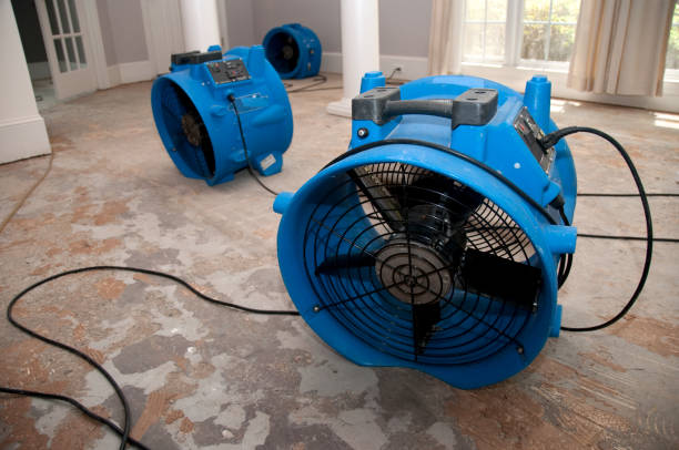 Best Flood restoration services  in Spencerville, MD
