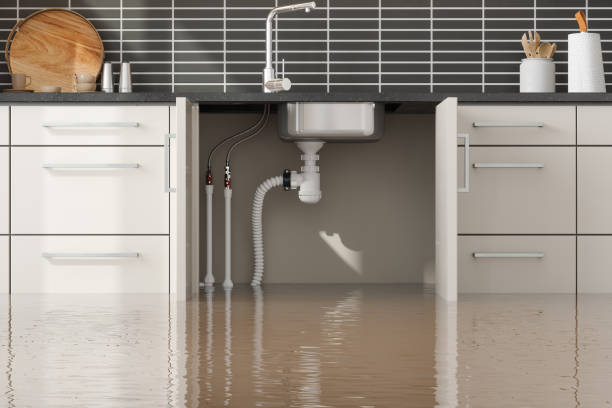 Best Water damage repair service  in Spencerville, MD